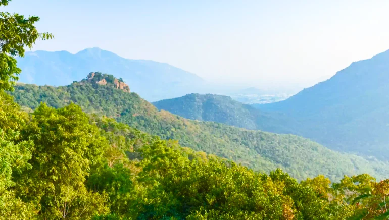 javadhu hills